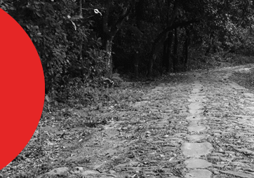 capa de artigo sobre caminho novo da estrada real | DOK