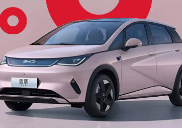 garantia byd