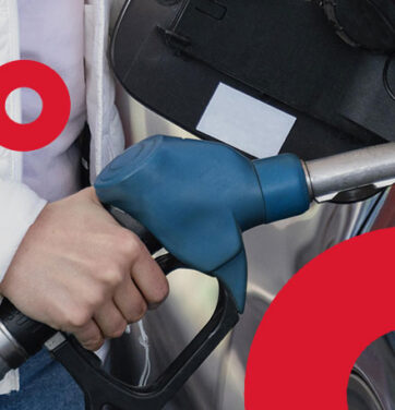 gasolina renovável