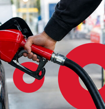 carros só a gasolina